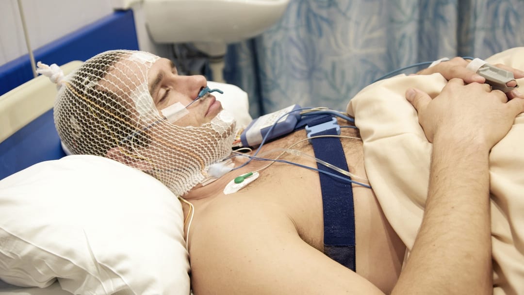 Carátula de Los secretos del cerebro