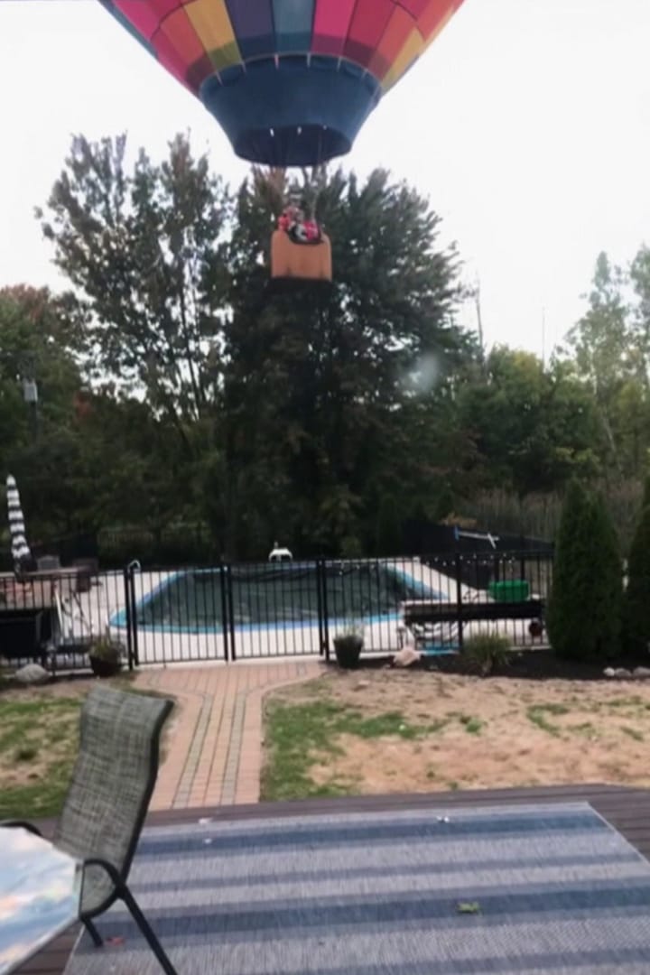 Póster de Guerra de vecinos