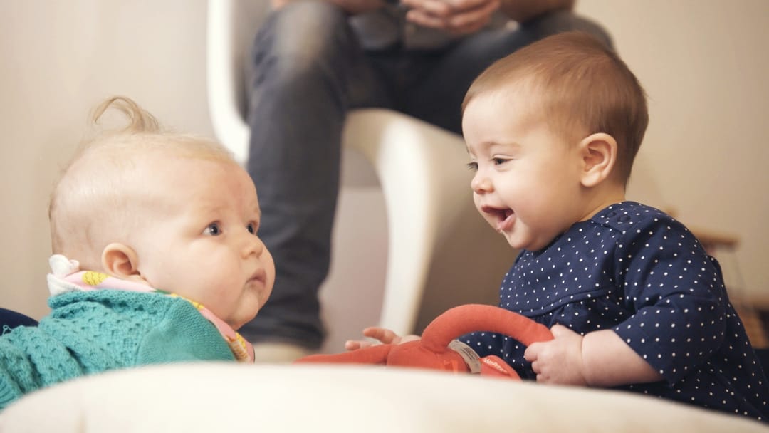Póster de Los secretos del cerebro