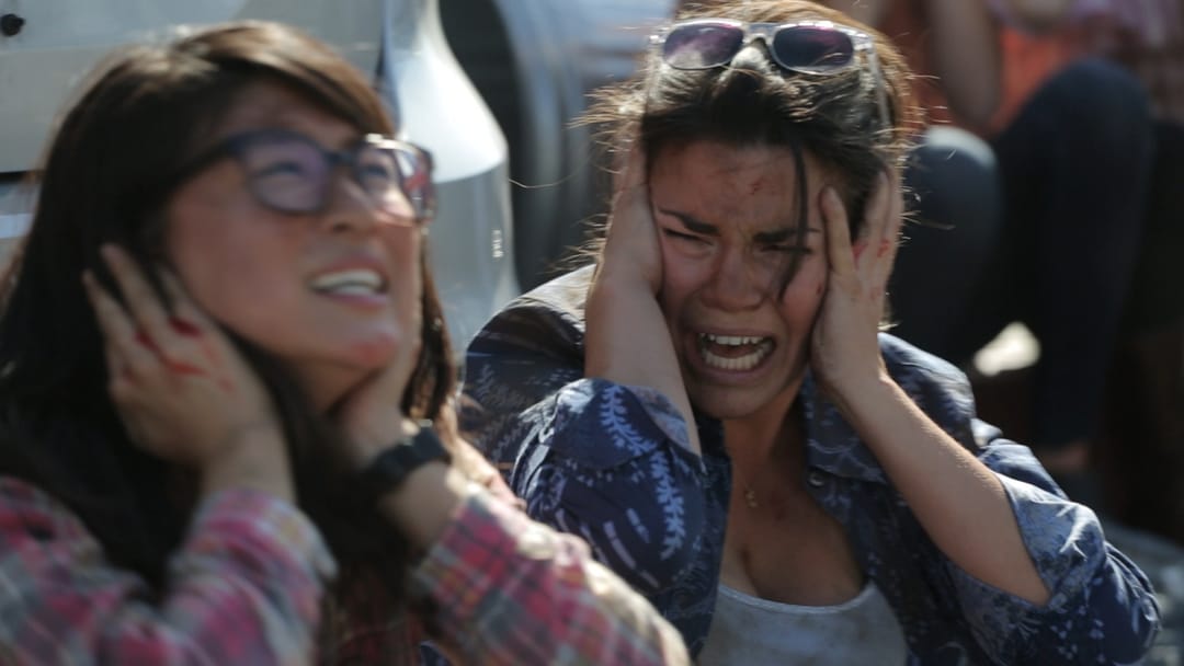 Póster de El fin del mundo