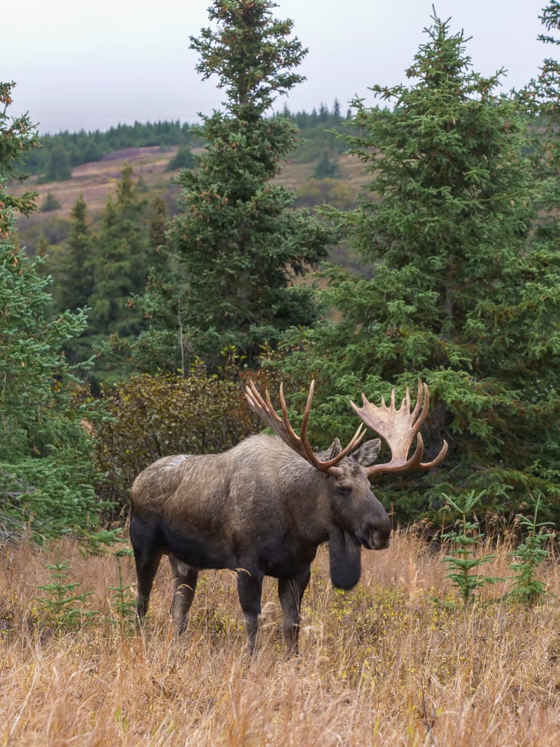 Carátula de Edén: paraísos remotos