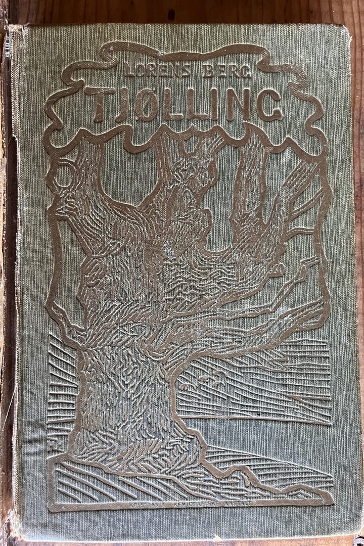 Póster de El origen de los Vikingos