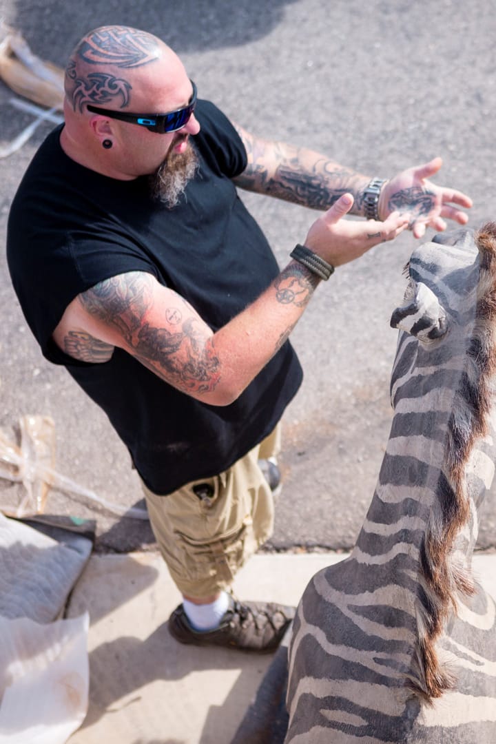 Carátula de Cazasubastas