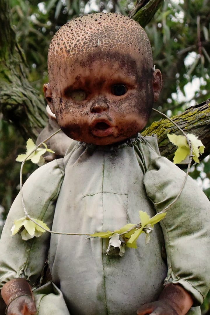 Póster de Lo increíble con Dan Aykroyd