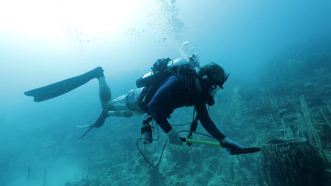 Póster de Los submarinos perdidos de la Segunda Guerra Mundial