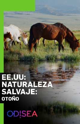 EE. UU: naturaleza salvaje: Otoño
