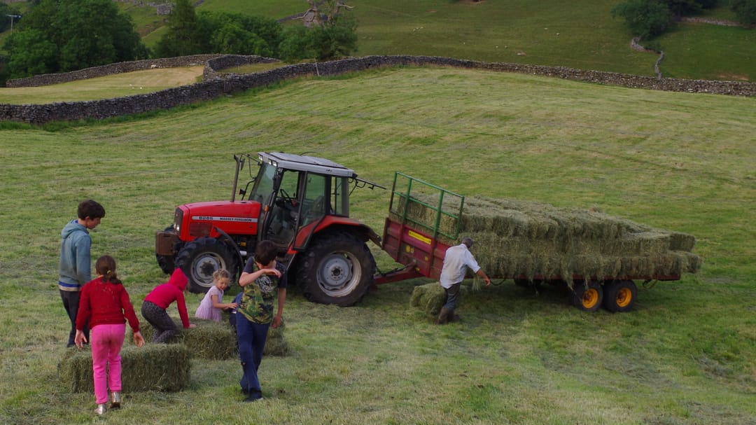 Una granja, 9 hijos y 1.000 ovejas: Verano - AMC SELEKT