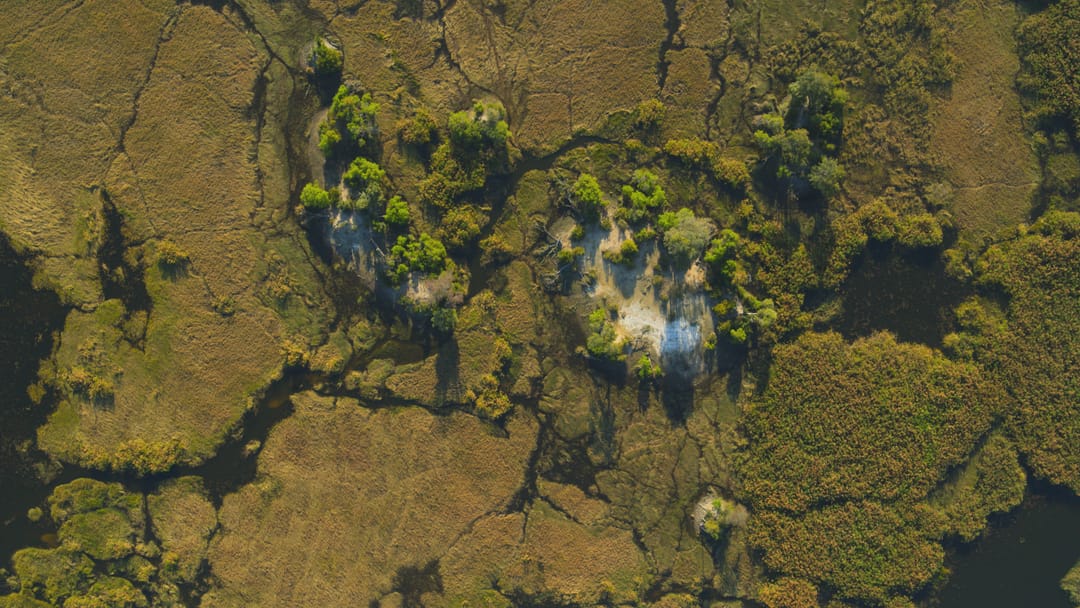 Póster de Islas: laboratorios de la naturaleza