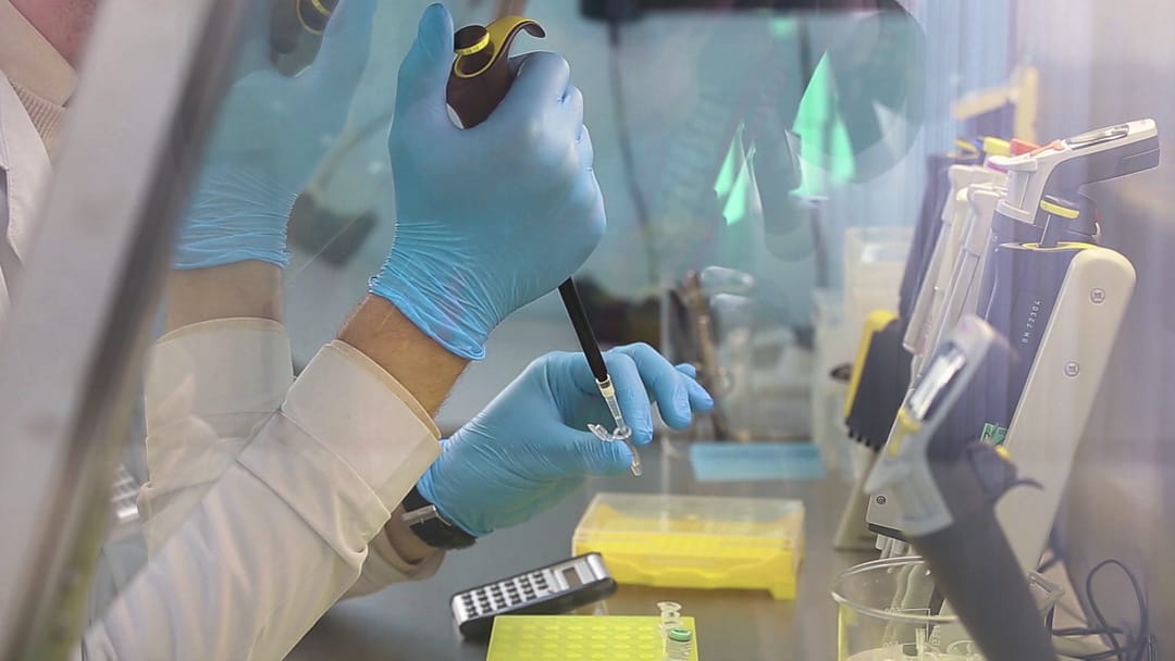 Póster de Maestros del crimen