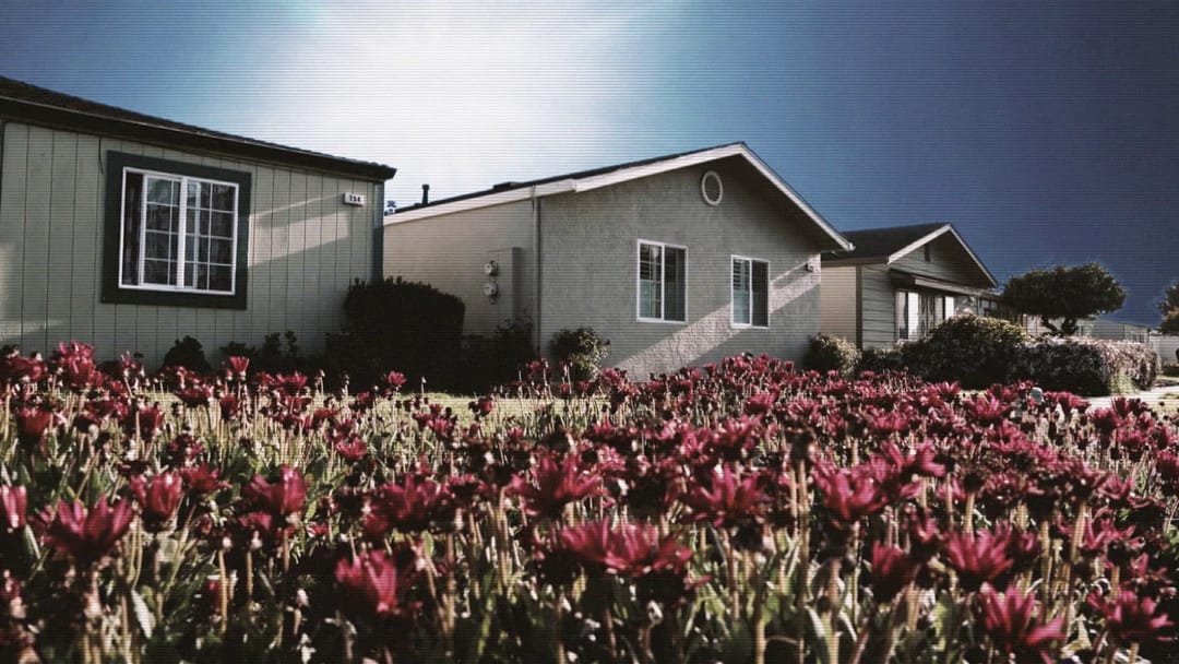 Póster de Guerra de vecinos